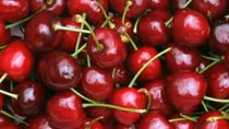 Vietnam spends US$5.4 million a day importing fruit pre-Tet