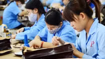 14 firms evading employee social insurance payments may face criminal charges