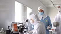 Vietnamese scientists announce new tablets for stomach remedy 
