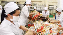 Hanoi Police and Vietnam Social Insurance join hands to prevent insurance crime