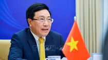 Informal ASEAN Ministerial Meeting: Vietnam, ASEAN cooperate to drive back pandemic