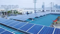 Rooftop solar panels can satisfy half of power demand: experts
