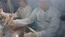 First off-the-shelf stem cell therapy developed in Vietnam