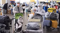 Over 340 Vietnamese citizens brought home from Russia