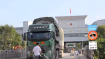 Ministry instructs strong measures to prevent H7N9 avian flu