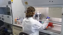  Coronavirus vaccine: Oxford team aim to start lab-controlled human trials