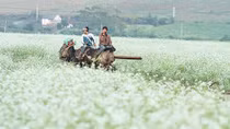 Upon misty hillsides, the bucolic beauty of Vietnamese villages