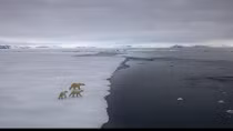 Domino-effect of climate events could move Earth into a ‘hothouse’ state