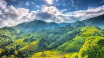 Sapa named among the 50 most beautiful places on the planet
