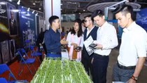 Vietnam’s biggest event for innovative startups slated for next month