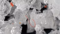 People eat at least 50,000 plastic particles a year, study finds