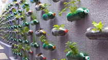  Scientists warn of dangers in using old plastic bottles with EDC