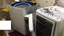 Samsung recalls 2.8m washing machines after reports of explosions