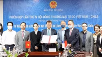 FTA providing impetus for Vietnam - Chile trade