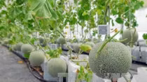 Project approved to boost growth of agricultural biotech industry
