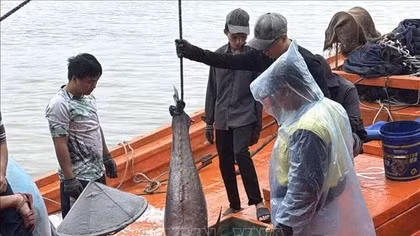 Dak Lak fishermen enhance preparedness for rough-sea fishing, IUU fishing combat
