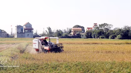 Plan issued to develop agricultural logistics system