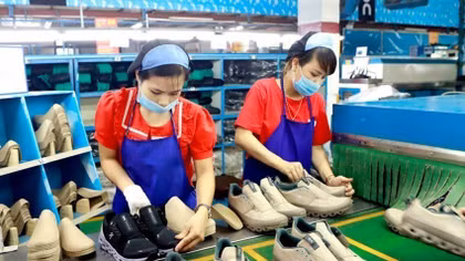 Strengthening intellectual property safeguards to sustain export markets