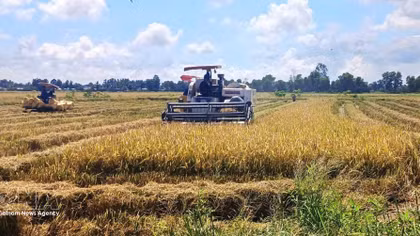 Green finance seen as key to unlocking Vietnam's low-carbon transition