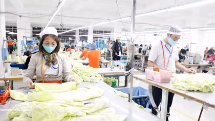 European business confidence in Vietnam climbs to near seven-year high