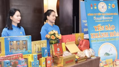 Vietnam's national brand value jumps 45% to over 462 bln USD