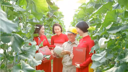 Green finance gains momentum as Vietnam pursues sustainable growth