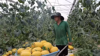 Vietnam, Laos deepen cooperation in finance, agriculture