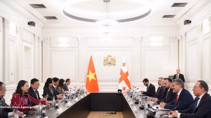 Vietnamese Vice President meets with Georgian leaders