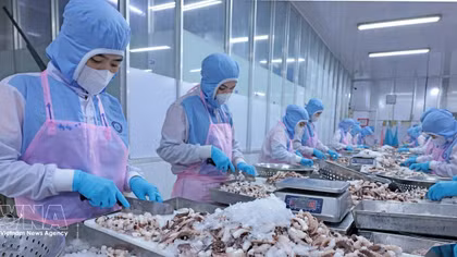 Digital technology helps standardise supply chains, sustain export competitiveness
