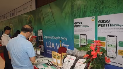 Public-private partnerships drive low-emission rice farming