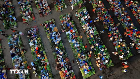 Can Tho's countryside market captures charm of southern Vietnam