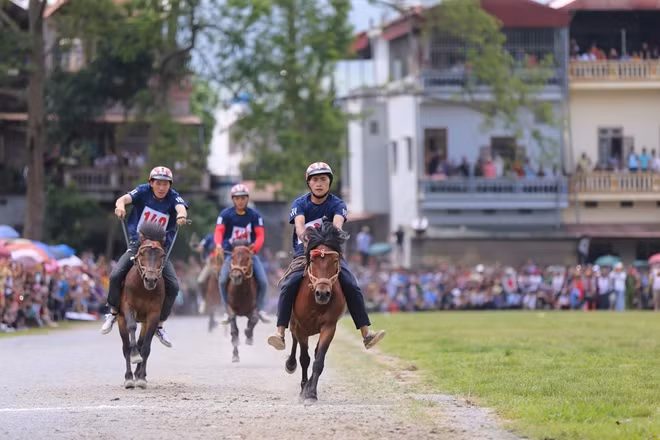 The final round is attended by 33 jockeys from mountainous villages in Lao Cai and some neighbouring provinces.