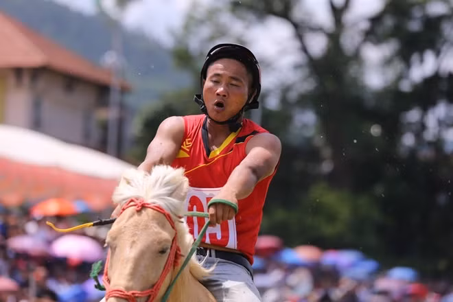 Horse racing is a traditional activity of Bac Ha people, reflecting the cultural and spiritual life of local people.
