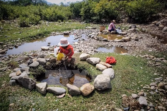 People in Ta Noi village, Ninh Son district have to draw water from the turbid puddles for daily use. Photo: VNA.