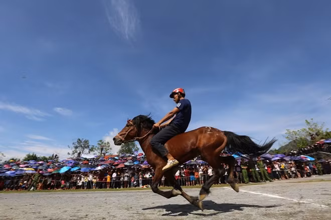 In an effort to attract tourists after days of social distancing, the final round of this-year traditional horse race takes place ealier than previous ones.
