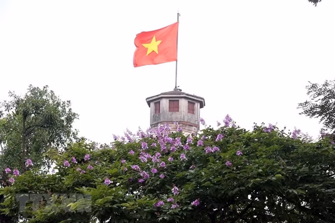 Sometimes, you may not recognize a new season comes until suddenly witnessing them brightly blossoming along every street. When May arrives, the capital city of Hanoi dazzles as flowers bloom. Photo: VNA.