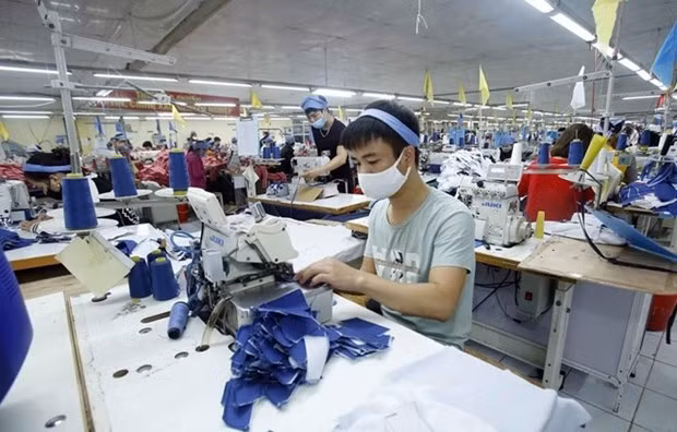 Garment sector puts high hope on EVFTA (Photo: VNA)