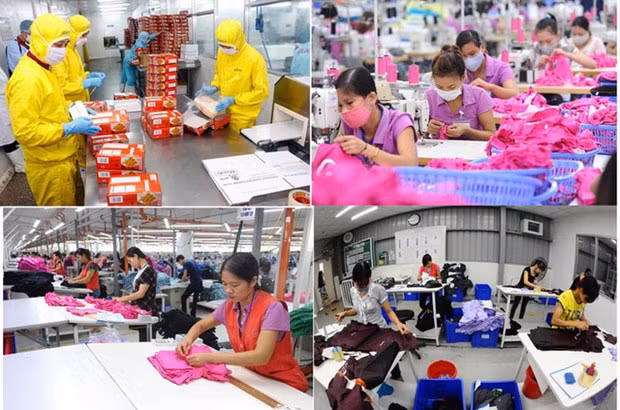 Businesses have to review their targets, strategies and activities to affirm their position and establish new supply chains. (Photo cafef.vn)