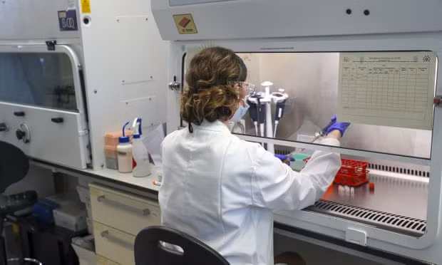 A scientist in the Oxford Vaccine Group – whose leaders include the professor Adrian Hill – working on the Covid-19 vaccine in June. Photograph: WPA/Getty Images