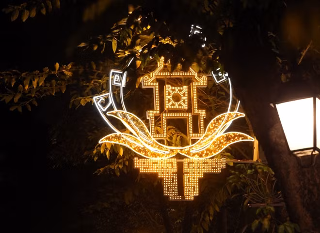 Thousands of light-filled peach and apricot branches are installed along Hanoi streets to welcome the lunar new year.