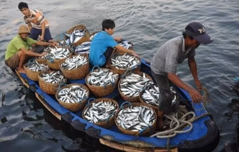 Cooperation in East Sea fisheries management, environmental protection. Cooperation in East Sea fisheries management, environmental protection.
