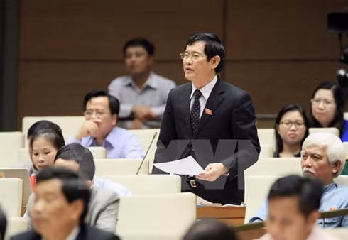 Deputy Nguyen Ngoc Phuong of Quang Binh province raises his questions on November 15.