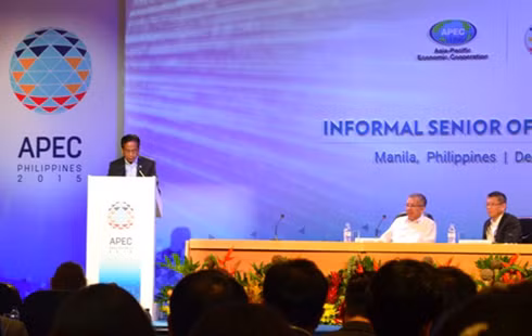 A delegate speaking at an APEC meeting. A delegate speaking at an APEC meeting.