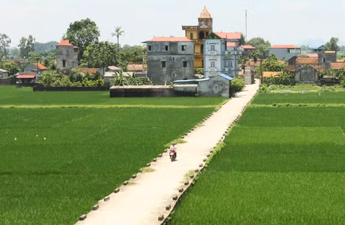 Photo:nongthonmoi.gov.vn