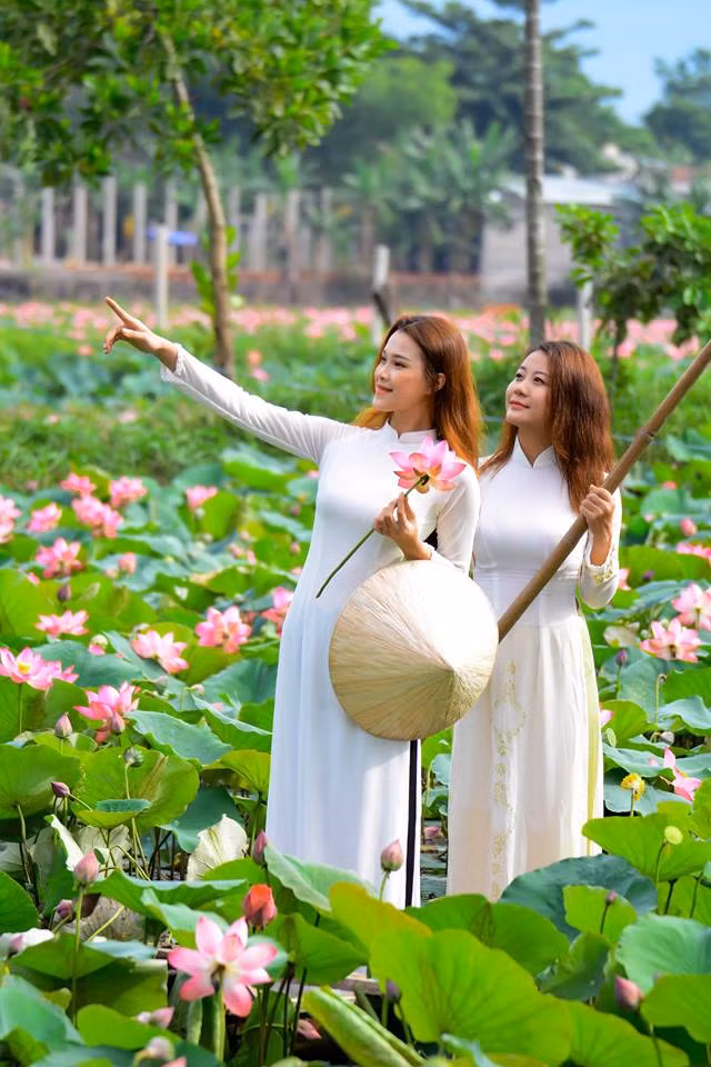 Images of lotus and ladies in charming traditional long dresses have long inspired pictures, poems and music, captivating people all around the world who love natural beauty and Vietnam. Images of lotus and ladies in charming traditional long dresses have long inspired pictures, poems and music, captivating people all around the world who love natural beauty and Vietnam.