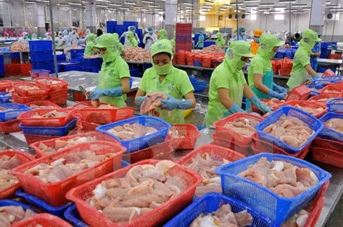 Vietnam works to reinforce relations with EU ảnh 1