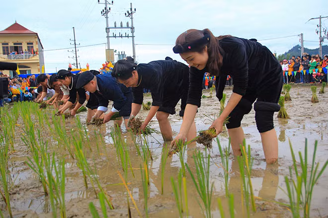 Local people working in a paddy field to worship the God of agriculture.