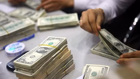 Foreign reserves hit record high of US$40 billion. (Photo: VOV)