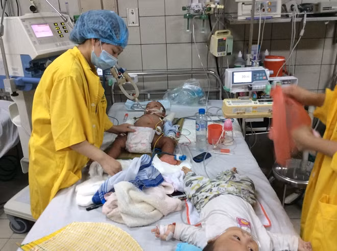The local health sector was also urged to fully prepare medicines and necessary equipment for the diagnosis and treatment of whooping cough.