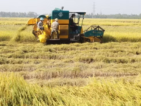 Credit package for hi-tech agriculture hoped to become fruitful.